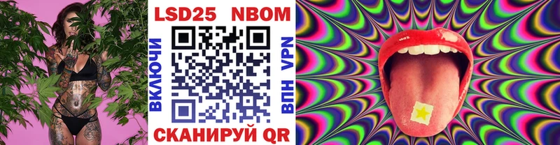 мега рабочий сайт  купить наркотик  Пошехонье  Марки 25I-NBOMe 1,8мг 