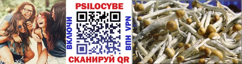 цены   Пошехонье  Псилоцибиновые грибы мухоморы 